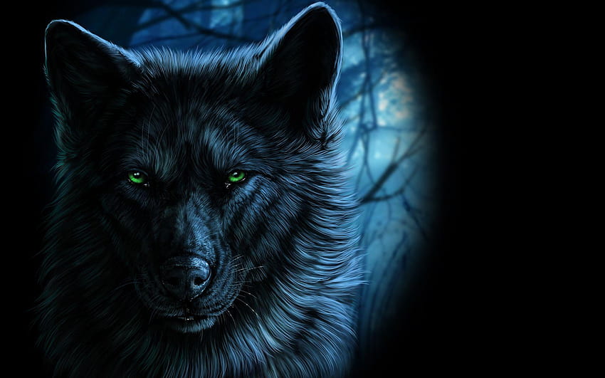 Fantasy Portrait Of Wolf With Green Eyes In The Dark By Wolfroad, blue wolf eyes HD wallpaper