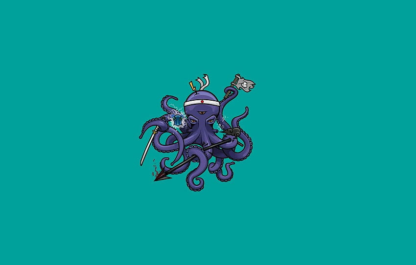 Octopus Minimalistic HD wallpaper