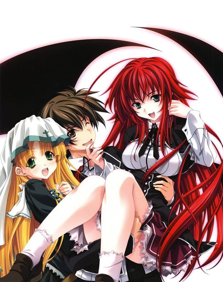 Pin by LION FIRE on HIGH SCHOOL DXD RG  Anime high school, Dxd, Highschool  dxd