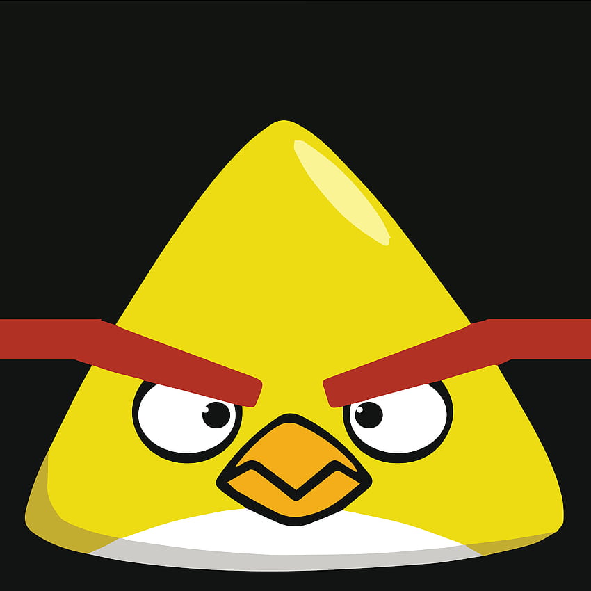 Angry Birds Chuck Yellow Cartoon for MacBook HD phone wallpaper | Pxfuel