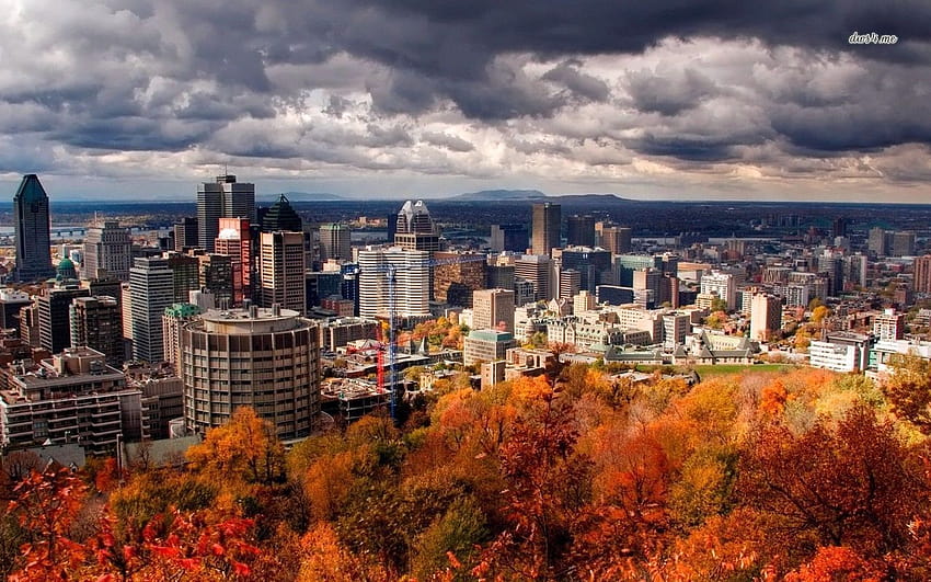 Montreal [1280x800] for your , Mobile & Tablet HD wallpaper