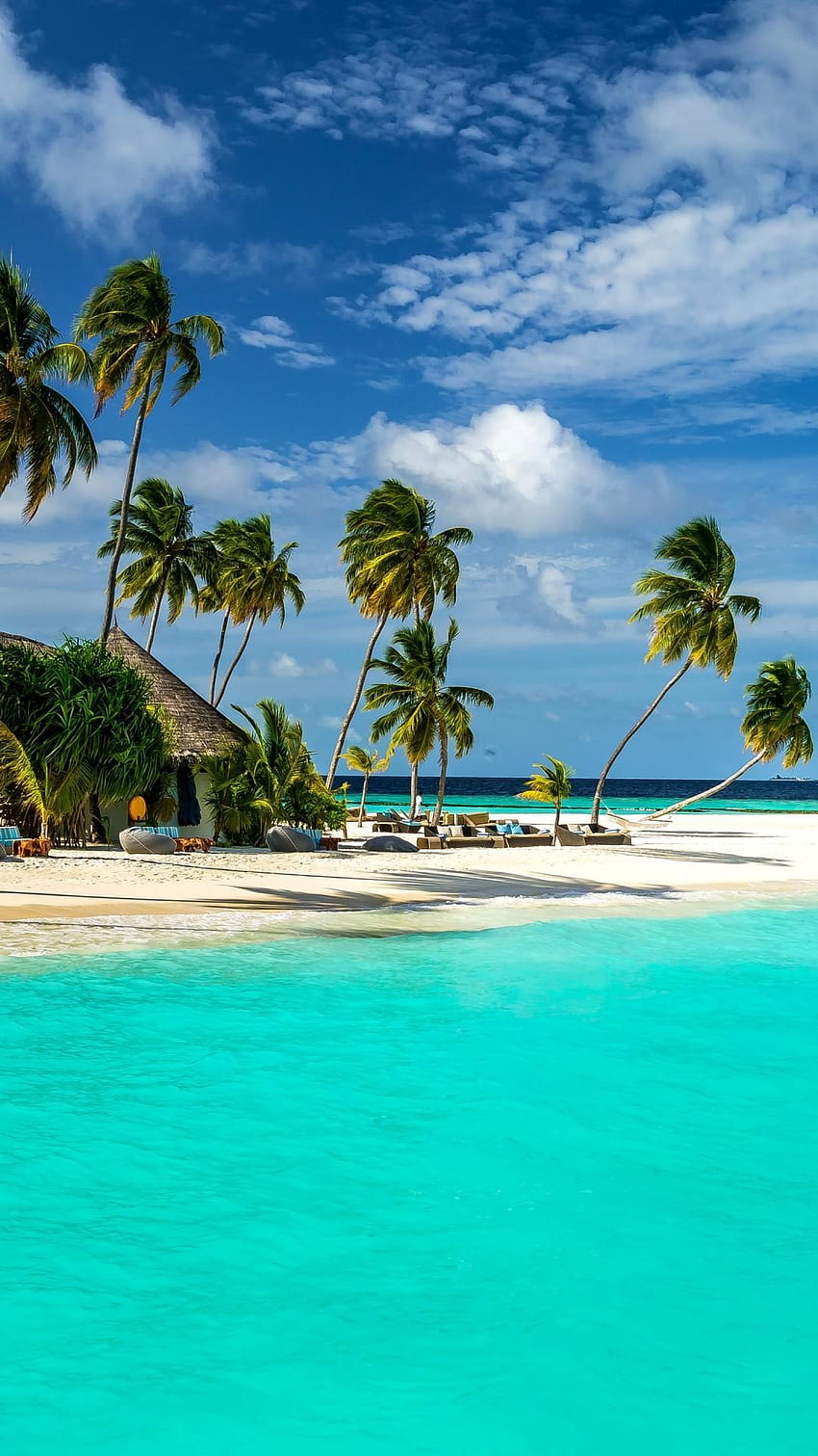 Paradise Beach: playa tropical, playa para Android, paraíso junto al mar fondo de pantalla del teléfono