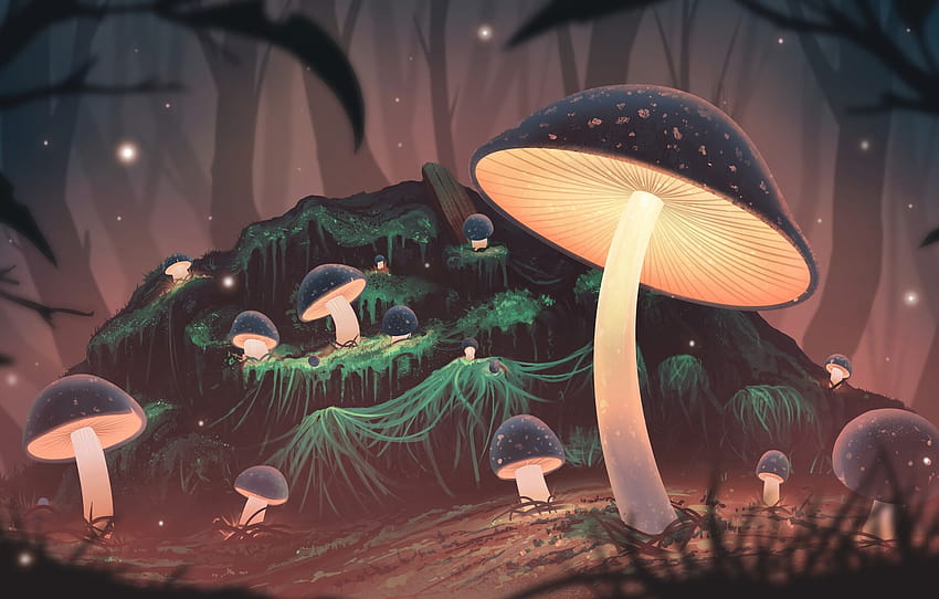 forest, night, mushrooms, glow, art , section разное, glow art HD wallpaper
