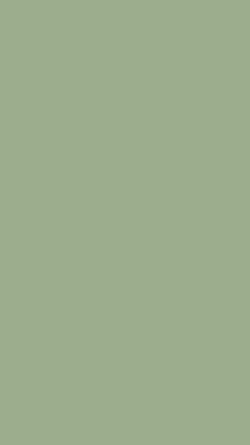 Sage Green iPhone, estetyczna szałwiowa zieleń Tapeta na telefon HD