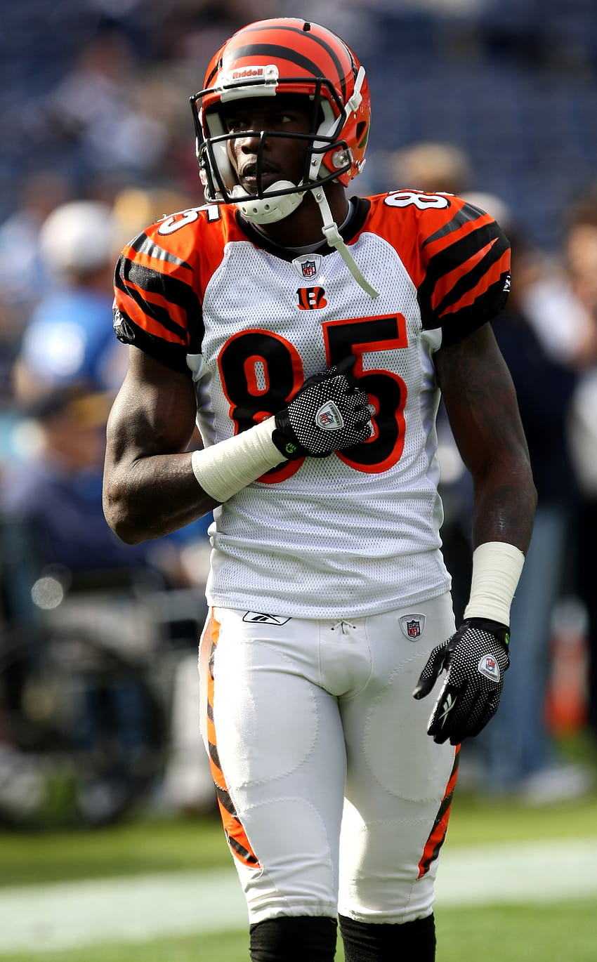 Terrell Owens and Chad Ochocinco: Why They Can't Coexist in Cincinnati HD  phone wallpaper