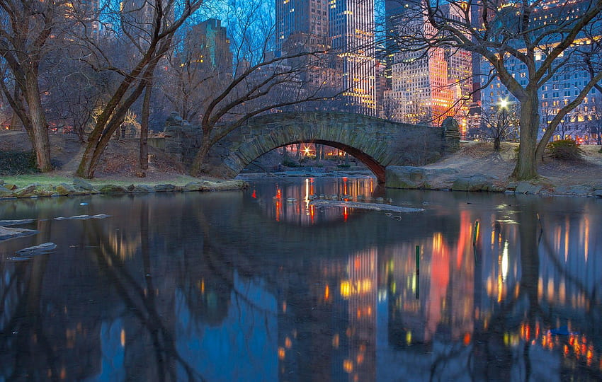 New York Central Park, central park view HD wallpaper