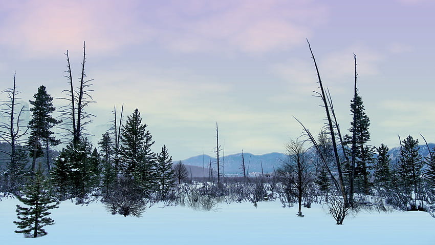 Tundra, biome HD wallpaper