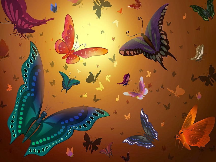 Schmetterling, Arten von Schmetterlingen HD-Hintergrundbild