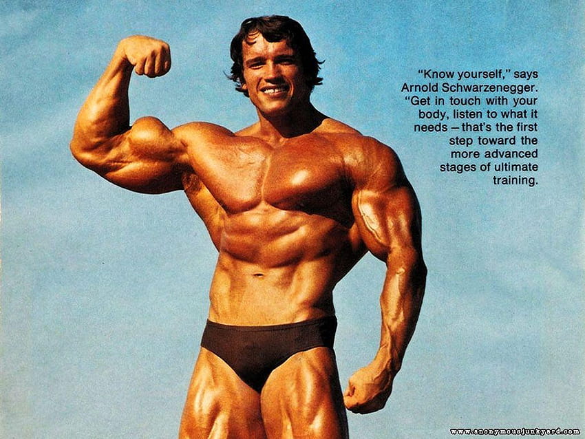 Arnold Schwarzenegger Bodybuilding Poster und HD-Hintergrundbild
