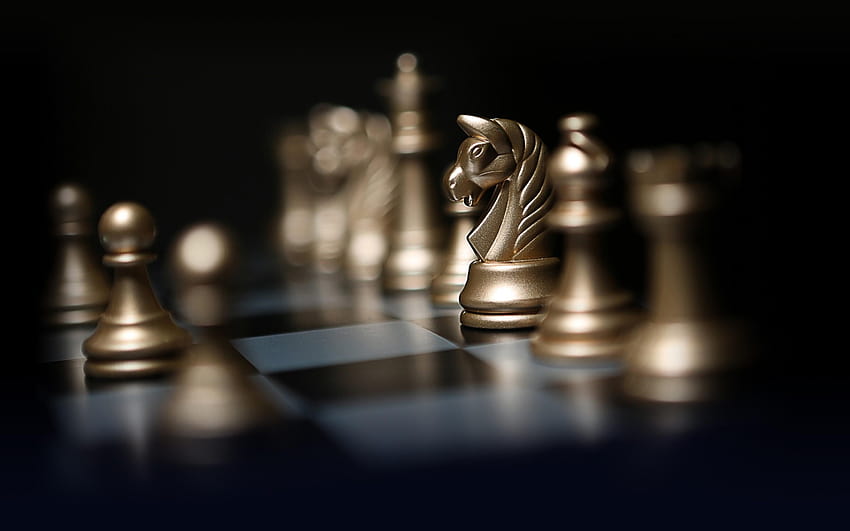 chess, intellectual games, figure horse HD wallpaper