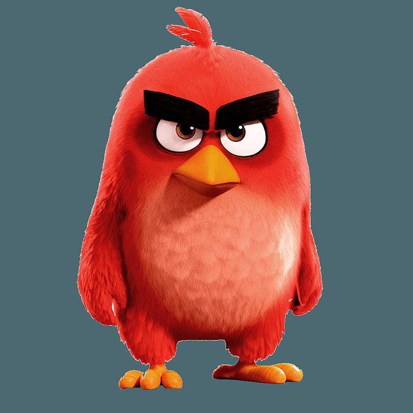 The Angry Birds Movie 赤と背景 HD電話の壁紙