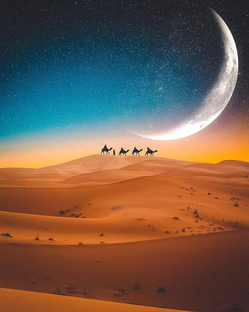 Pin no Saara, noite de camelos no Saara Papel de parede de celular HD