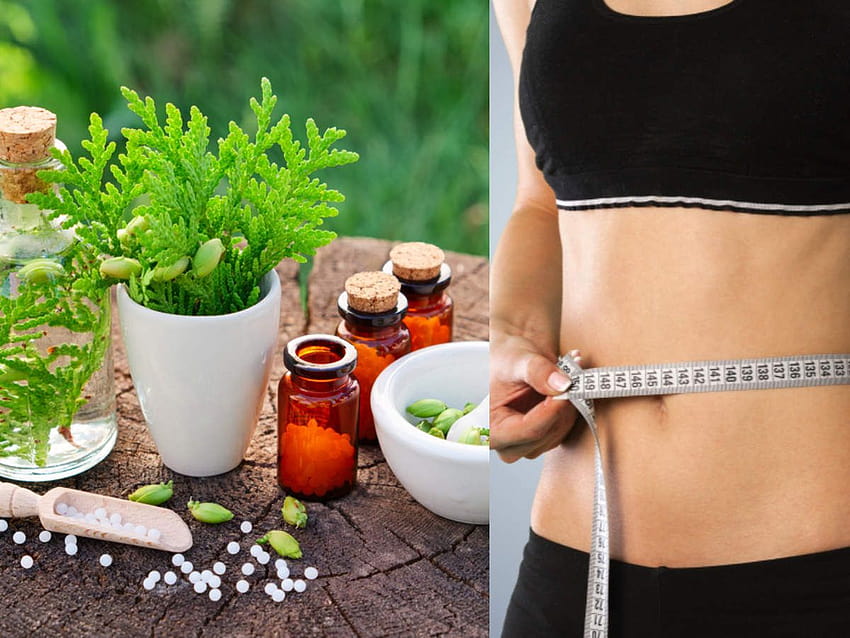 Naturopathy for weight loss: Does it ...timesofindia.indiatimes HD wallpaper