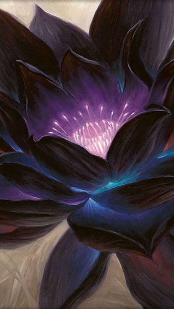 Magic The Gathering Posted Hd Wallpapers Pxfuel