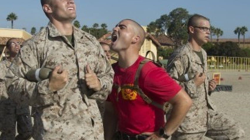 After reports of drill instructor misconduct, Marine Corps says efforts to crack down are showing results HD wallpaper