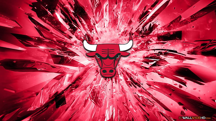 55 logotipo da equipe do Chicago Bulls, logotipo do chicago bulls papel de parede HD