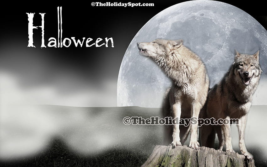halloween wolf HD wallpaper
