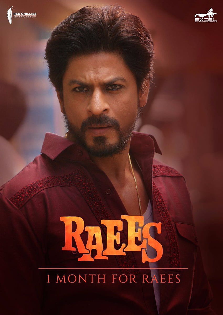 Locandina del film Raees di Shah Rukh Khan, shah rukh khan raees Sfondo del telefono HD