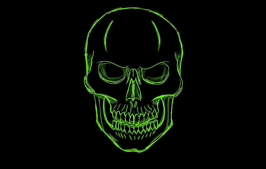 green, skull, minimalism, head, skeleton, sake, green skull HD wallpaper