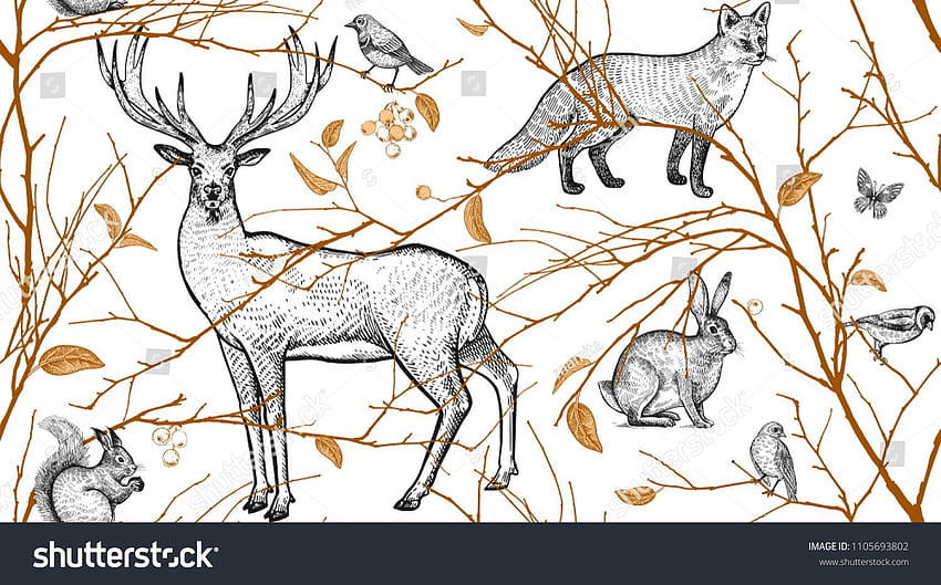 Round wallpaper Fox And Hare With Trees  micasiacom