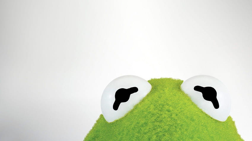 Kermit the Frog Backgrounds 1920x1080 HD wallpaper