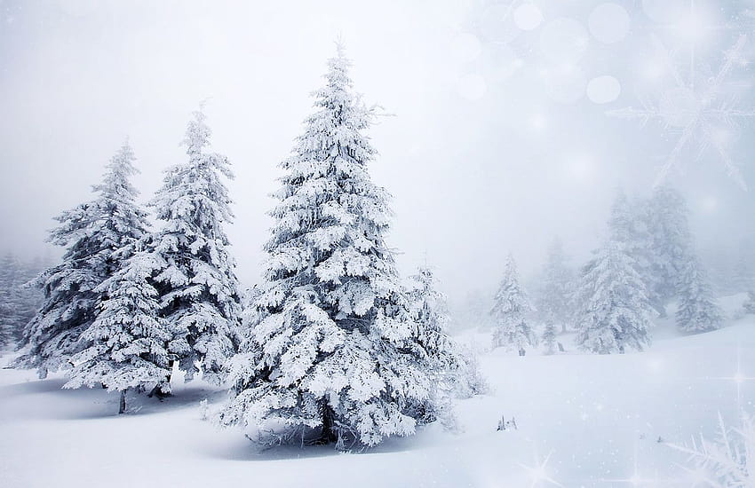 Winterlandschaften HD-Hintergrundbild
