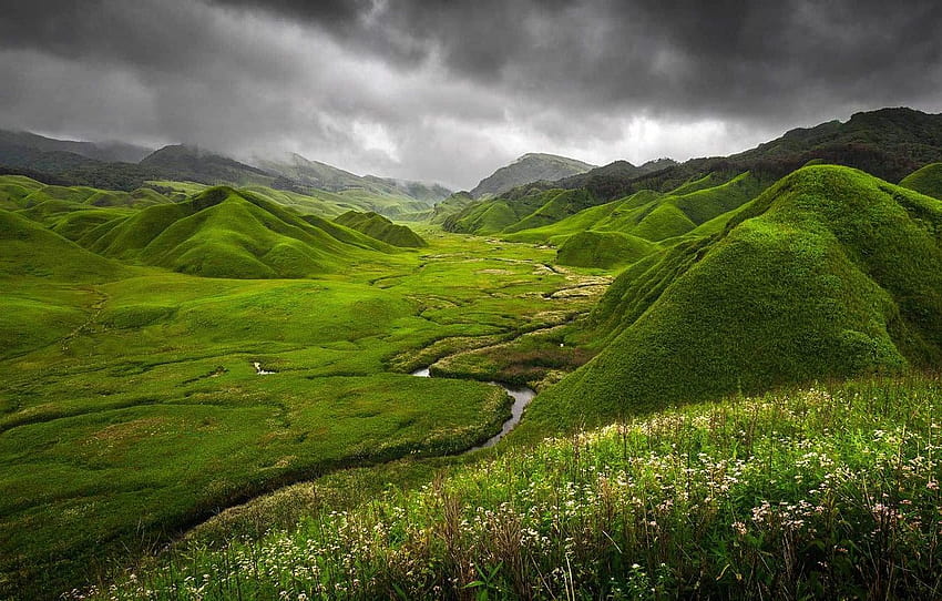 çimen, çiçekler, dağlar, bulutlar, doğa, nehir, Hindistan, Yeşil Dzukou, Nagaland ve Manipur Eyaletleri arasındaki sınır , bölüm пейзажи HD duvar kağıdı