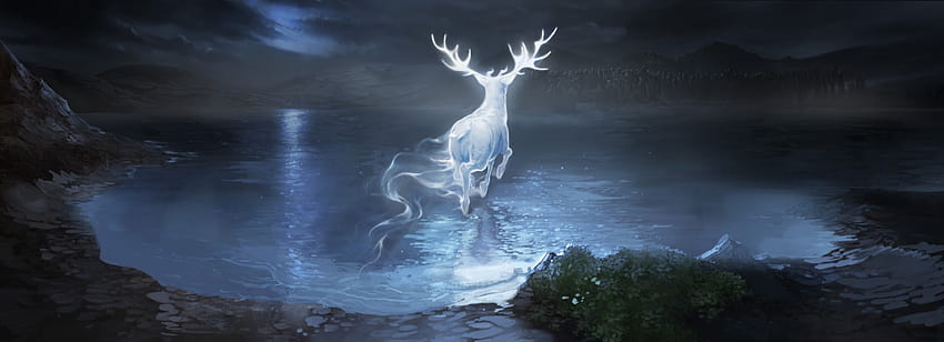 What can a Patronus say about a character?, harry potter patronus HD wallpaper
