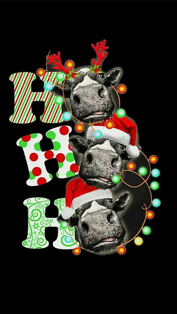 Christmas Cows cow christmas snow vaca lights animal horns winter  HD wallpaper  Peakpx