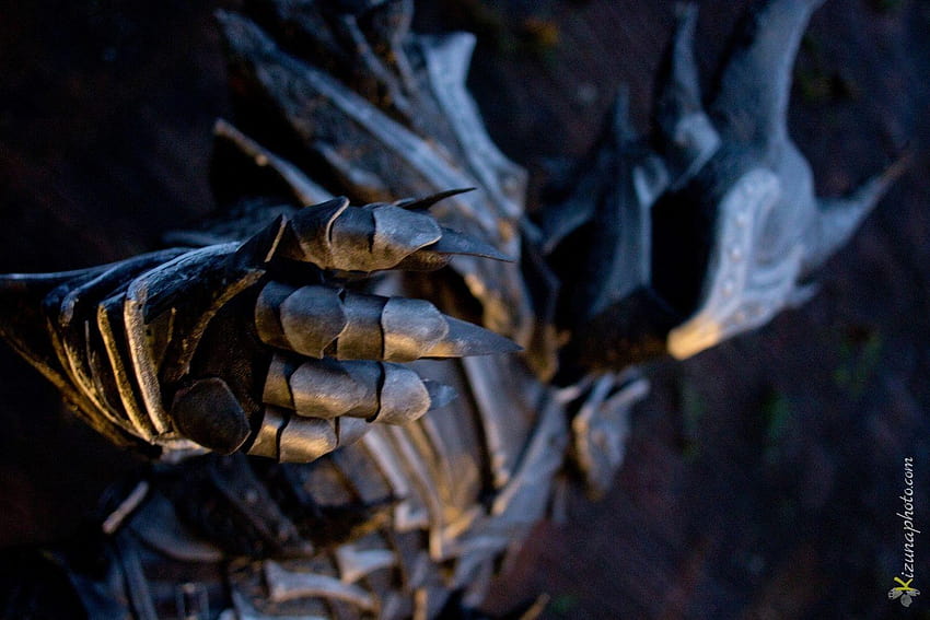 Armor from Skyrim Cosplay by Zerios88, skyrim frau HD wallpaper