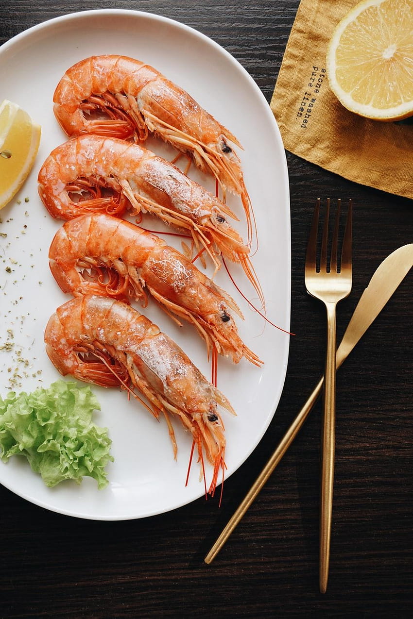 35 Best Seafood [], animal food HD phone wallpaper