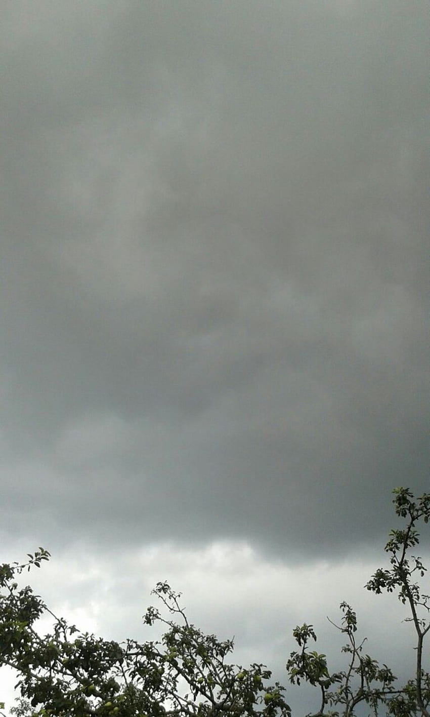 Pochmurne niebo, chmury, deszcz, deszcz, burza, drzewa, liście, szary, szare chmury, pochmurna pogoda Tapeta na telefon HD
