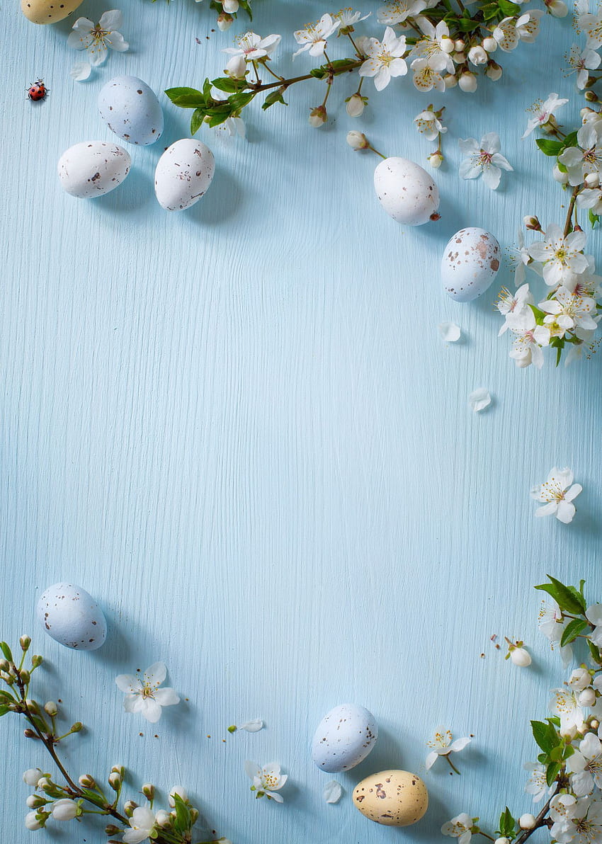 Kate Easter Blue Wall Kolorowe jajka graficzne Backdrops, turkusowo-niebieskie wielkanocne Tapeta na telefon HD
