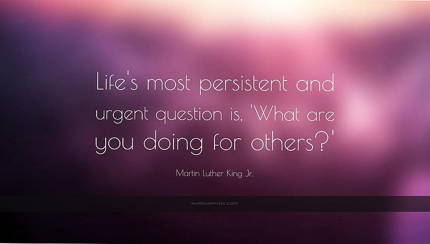 1015 martin luther king jr quote life s most persistent and urgent HD wallpaper