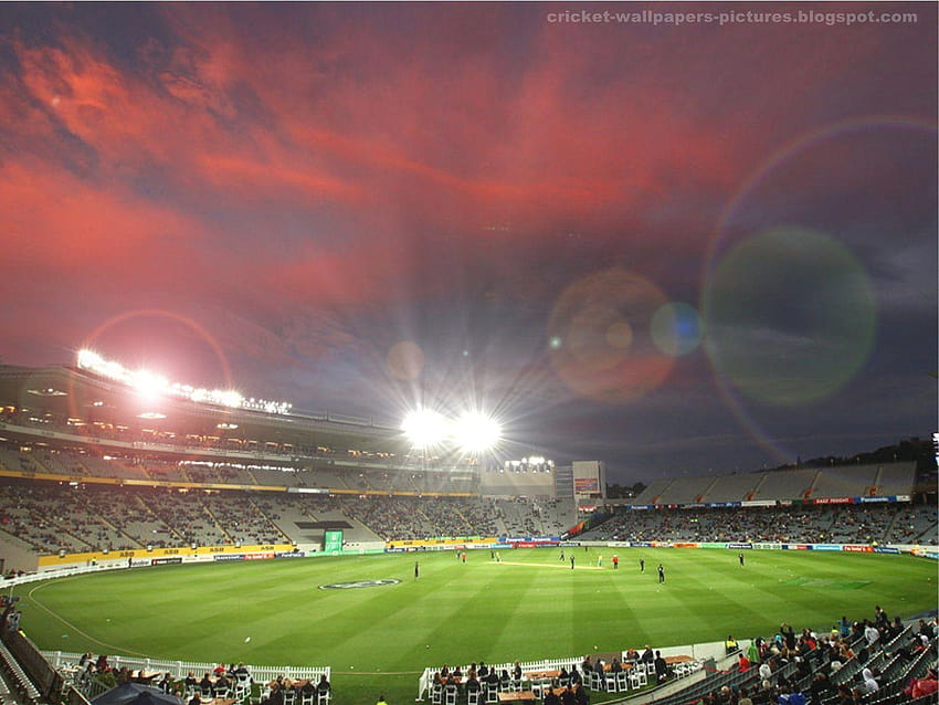 Magnifique terrain de cricket, stade de cricket Fond d'écran HD
