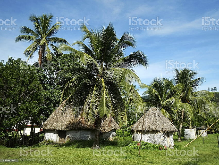 Traditional Houses Of Navala Village Viti Levu Fiji Stock HD wallpaper