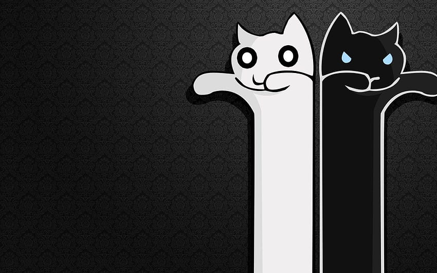 Cartoon Black And White Cat, black and white summer kittens HD wallpaper