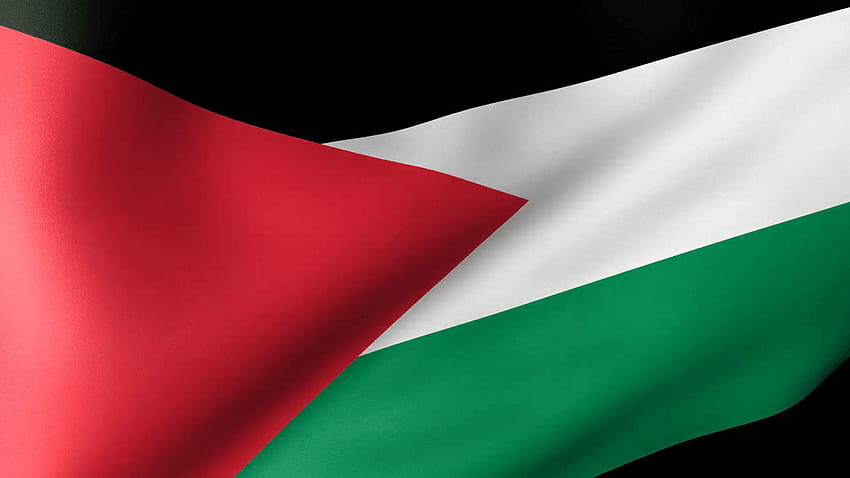 Filistin Bayrağı Hareketli Arka Planlar Sallıyor, Filistin bayrağını seviyorum HD duvar kağıdı