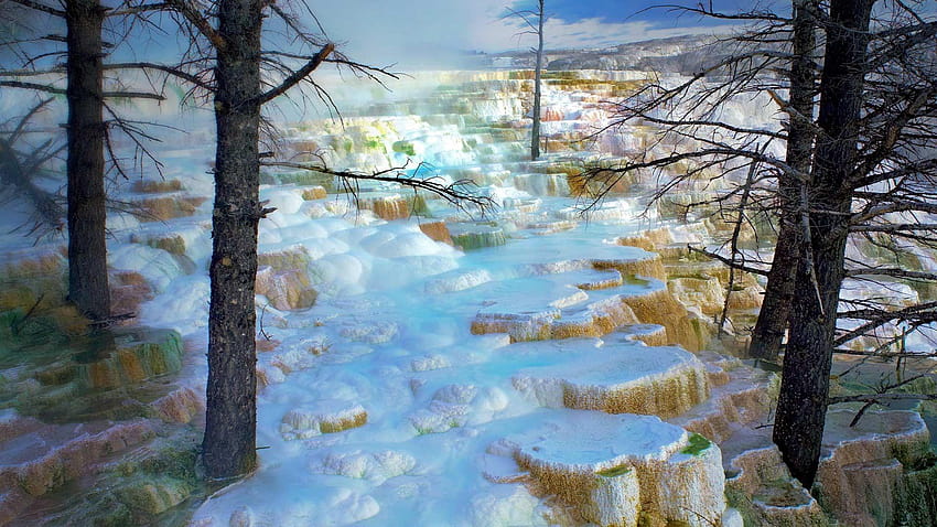 Mammoth Hot Springs, Yellowstone National Park, Nature, hot springs national park HD wallpaper