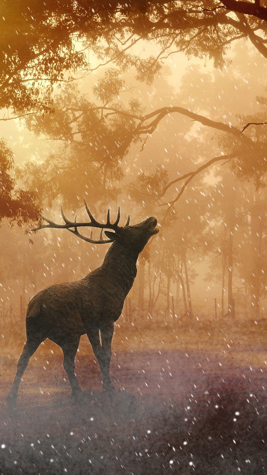 Beautiful Fallow Deer in Forest Autumn iPhone 6 / 6S, iphone 6 beautiful HD phone wallpaper