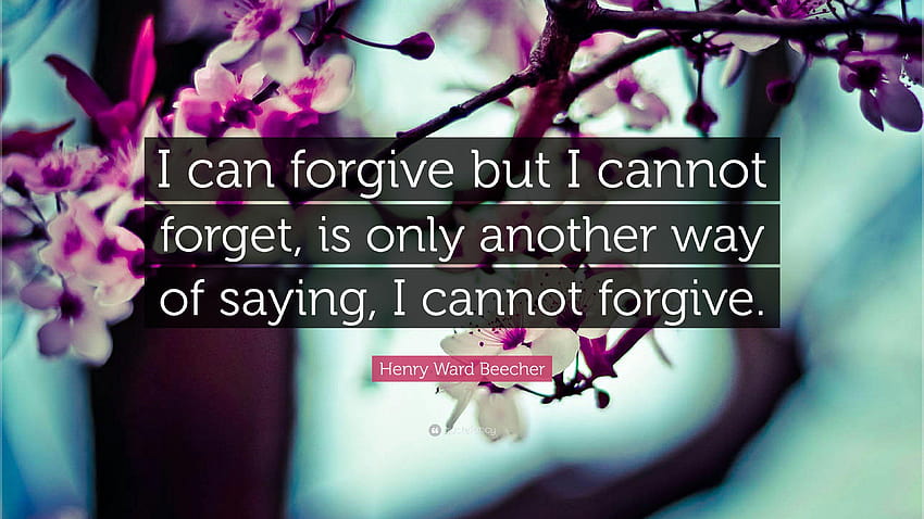 Forgiveness Quotes, can you ever forgive me HD wallpaper