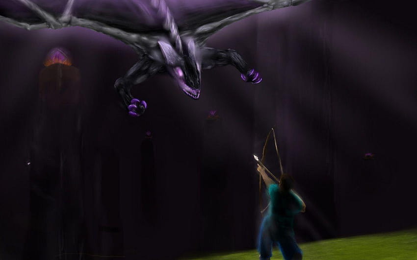 I asked this guy to make me a of a enderdragon fight, 3, ender dragon HD wallpaper