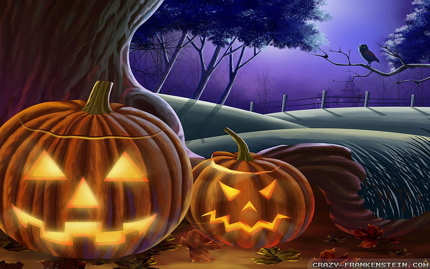 Jack O' Lantern Halloween, jack o lantern HD wallpaper | Pxfuel
