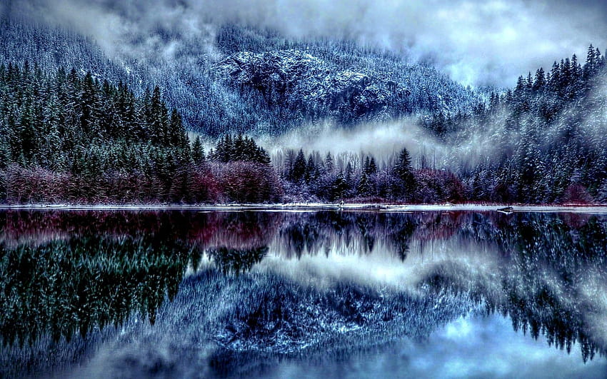 2048x1280 Winter Forest, seasonal winter HD wallpaper
