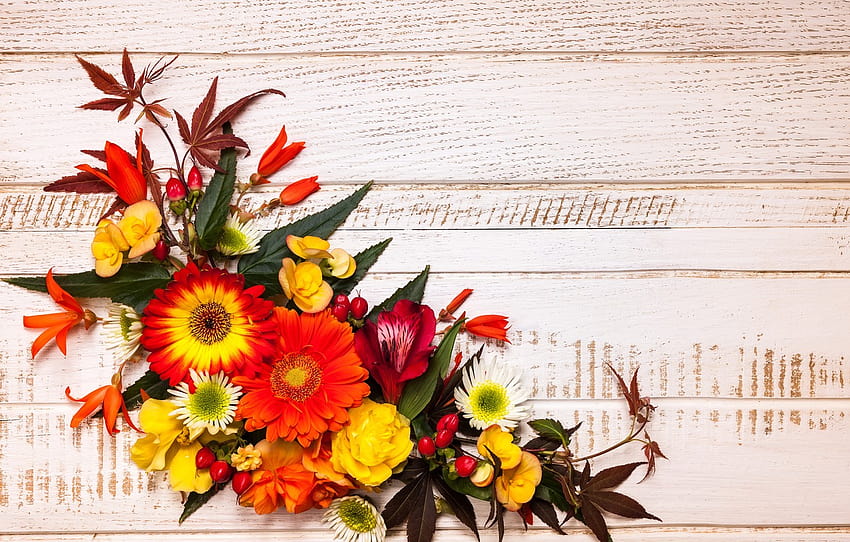 outono, folhas, flores, madeira, flores, outono, folhas, composição, quadro, floral, seção цветы, outono flor papel de parede HD
