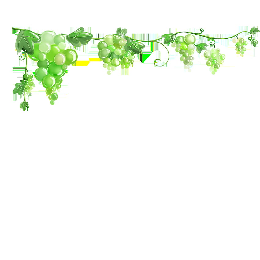 Common Grape Vine ใบองุ่น องุ่น วอลล์เปเปอร์โทรศัพท์ HD