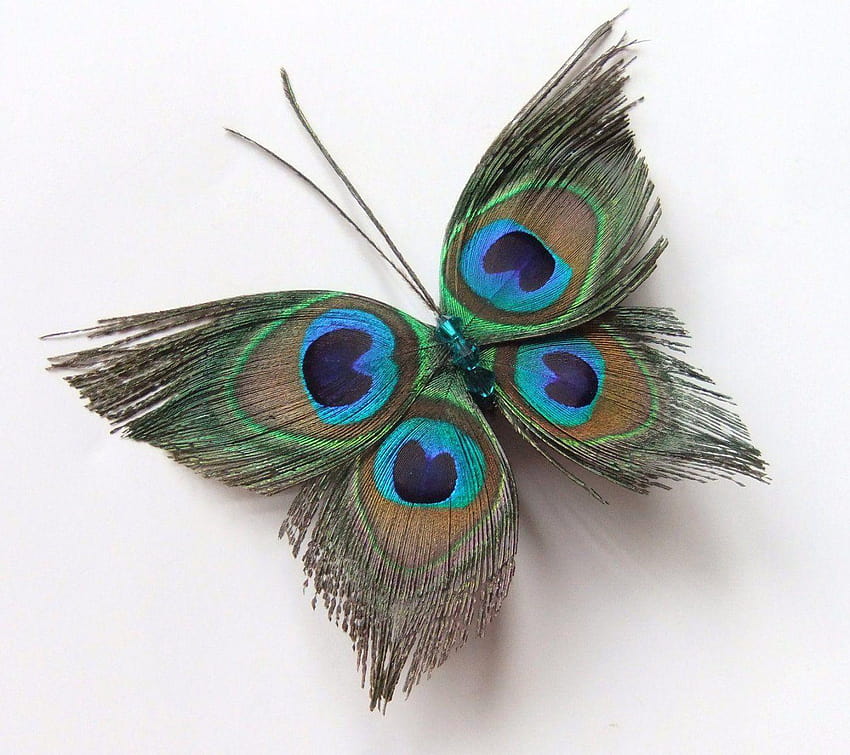 Hermosa mariposa de plumas de pavo real fondo de pantalla