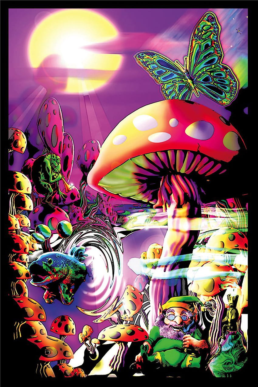 Magic Mushroom Group, funghi magici iphone Sfondo del telefono HD