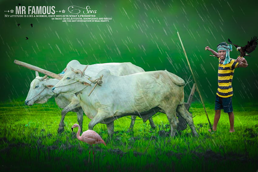 Indian farmer / Siva Yar s graphy, indian agriculture HD wallpaper