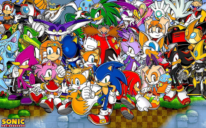 Hedgehog video games friends game characters team, all video game characters HD wallpaper